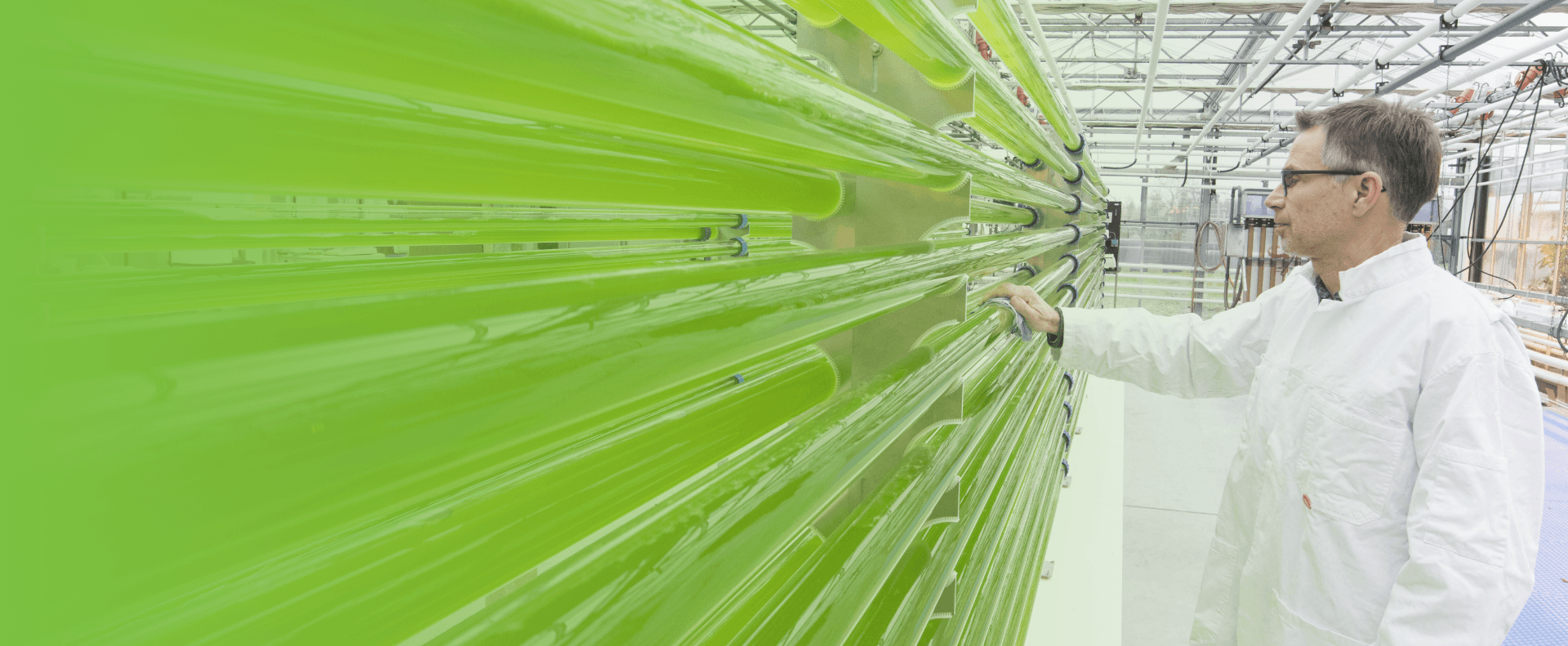 Man in lab coat looking at Algae pipes