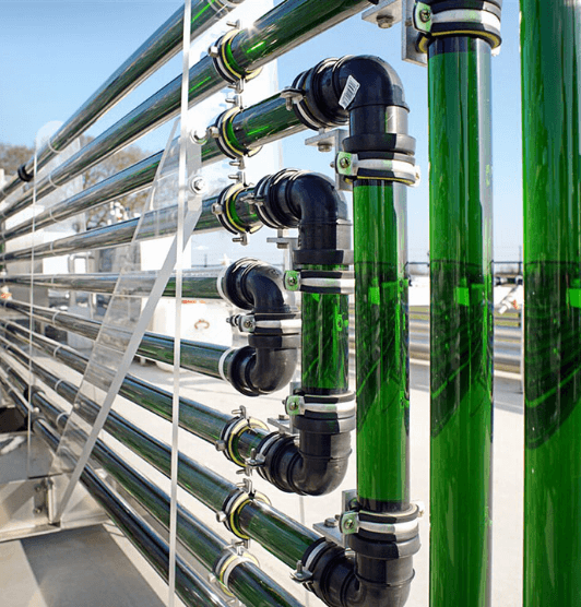 Green pipes with algae outside at the AlgaePARC facility