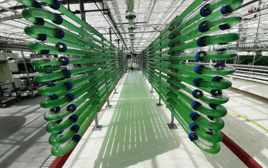 Green pipes