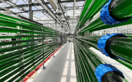 Close up of green pipes