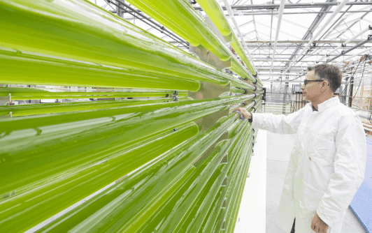 Man in lab coat standing next to green pipes