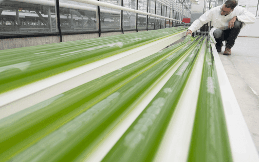 Close up of green pipes