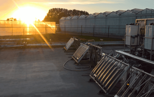 Outdoor photo of greenhouses